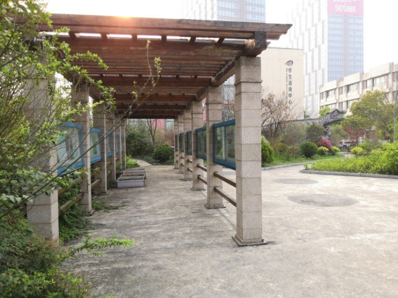 7 吴雅妮.jpg